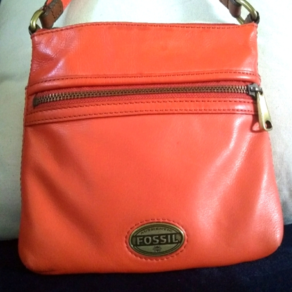 The flawed fossil purse